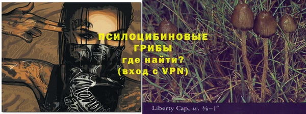 apvp Алексеевка