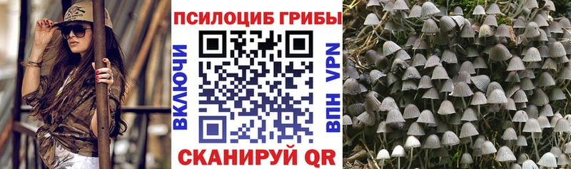 где продают   shop Telegram  Галлюциногенные грибы Psilocybine cubensis  Харовск 
